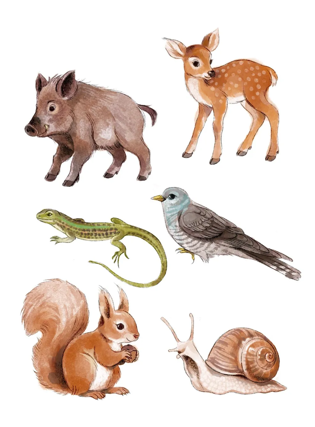 Watercolour boar, fawn, lizard, cuckoo, squirrel and snail